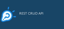 REST CRUD API