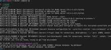 使用 MySQL 对 Golang API 进行 Docker 化并添加 Docker Compose 支持