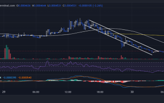 La valeur Gigacat se prépare à un rebond après avoir chuté de 48 % en 24 heures