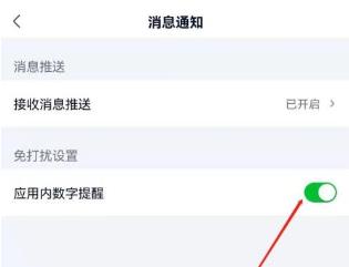 爱奇艺极速版怎么关闭小红点提醒 爱奇艺极速版关闭小红点提醒教程
