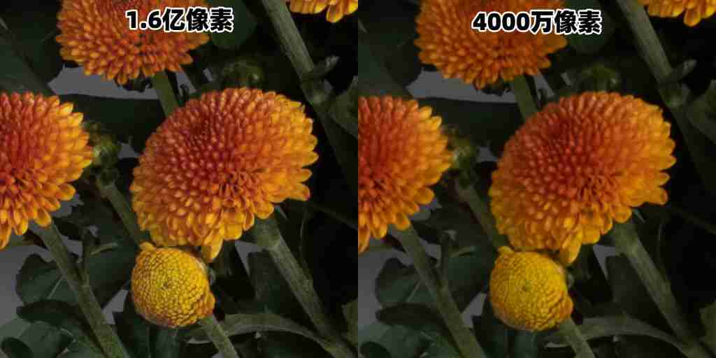APS-C 画幅性能王者 富士 X-H2 带来全面摄影体验 