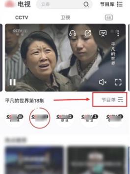 央视频如何查看卫视回放 央视频查看卫视回放的方法