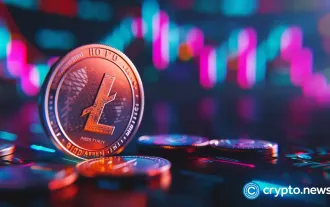Litecoin (LTC) Whale Activity Increases, But the Cryptocurrency Remains in a Consolidation Phase