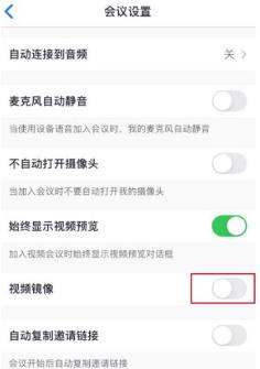 Zoom视频会议在哪打开视频镜像 Zoom视频会议打开视频镜像的方法