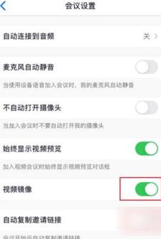 Zoom视频会议在哪打开视频镜像 Zoom视频会议打开视频镜像的方法