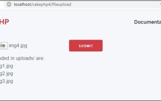 CakePHP File upload