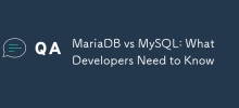 MariaDB vs MySQL: Perkara yang Pembangun Perlu Tahu
