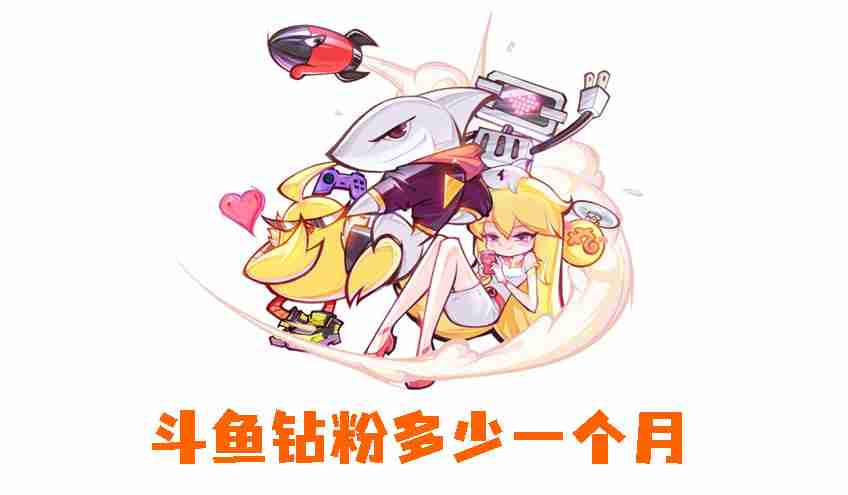 斗鱼钻粉多少一个月 斗鱼钻粉价格介绍
