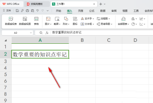 wps表格怎麼把橫著的字變成垂直的 WPS Excel中將橫排文字變成垂直排顯示的方法