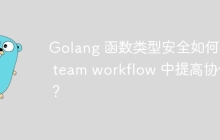 Golang 函数类型安全如何在 team workflow 中提高协作？