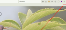 How to send a Do Not Track request on Maxthon Browser. Tutorial on how to send a Do Not Track request on Maxthon Browser.