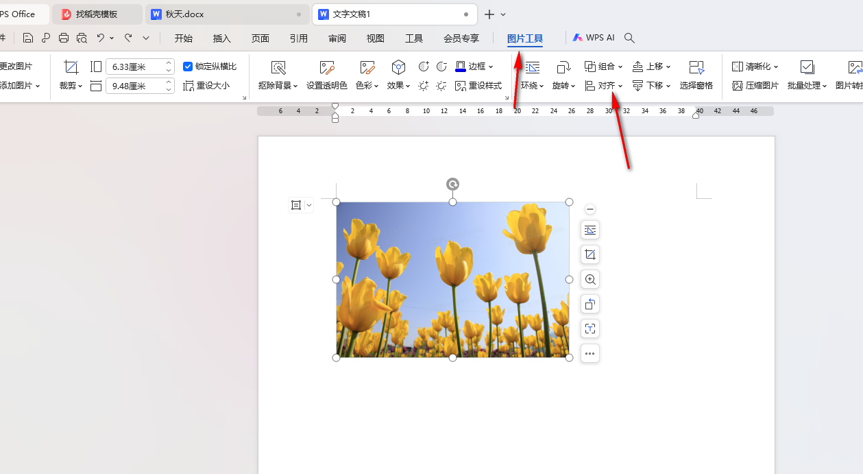 WPS Word怎么设置图片水平居中对齐 WPS Word设置图片水平居中对齐的方法