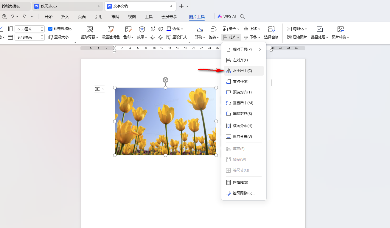 WPS Word怎么设置图片水平居中对齐 WPS Word设置图片水平居中对齐的方法