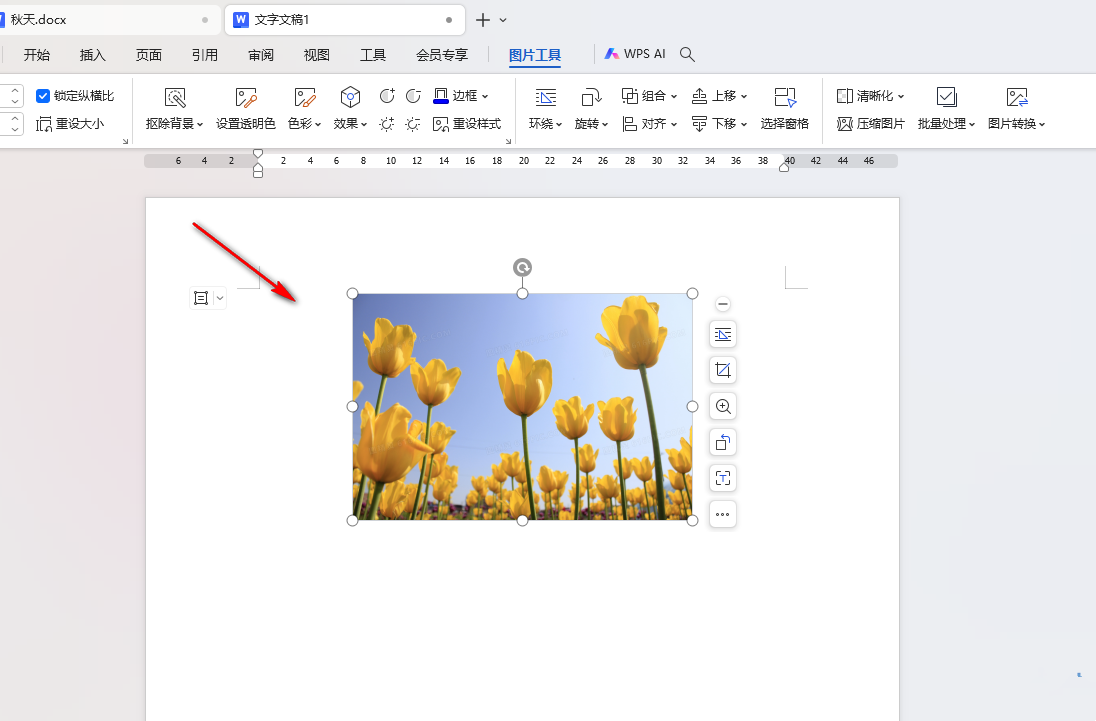 WPS Word怎么设置图片水平居中对齐 WPS Word设置图片水平居中对齐的方法