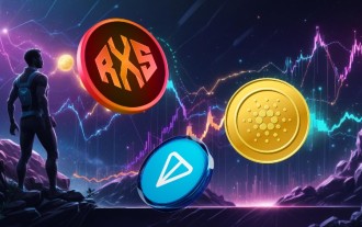 Rexas Finance (RXS) : jeton à moins de 0,50 $ avec un potentiel de 5 000 %