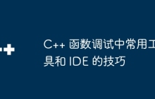 C++ 函数调试中常用工具和 IDE 的技巧