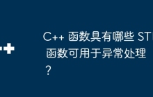 C++ 函数具有哪些 STL 函数可用于异常处理？