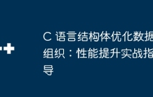 C 语言结构体优化数据组织：性能提升实战指导