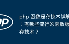 php 函数缓存技术详解：有哪些流行的函数缓存技术？