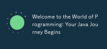Welcome to the World of Programming: Your Java Journey Begins