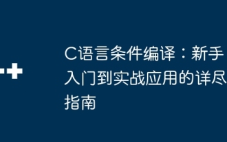 c言語条件付き編集:初心者向けの詳細なガイドへの実践的なアプリケーション