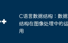 C语言数据结构：数据结构在图像处理中的运用