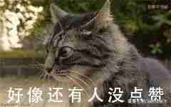 电脑看视频卡怎么办？解决电脑播放视频卡顿的方法