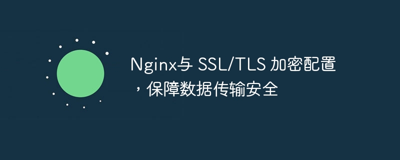 Nginx與 SSL/TLS 加密配置，保障數據傳輸安全 - 小浪云數據
