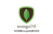 MongoDB索引优化策略，加速查询性能