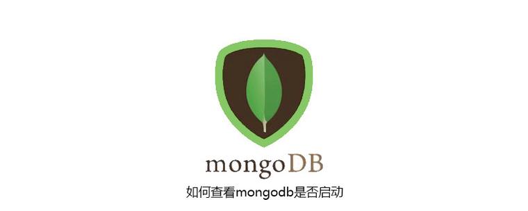 MongoDB索引優(yōu)化策略，加速查詢性能 - 小浪云數(shù)據(jù)