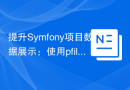 Improve Symfony project data display: Practice of using pfilsx/data-grid-bundle