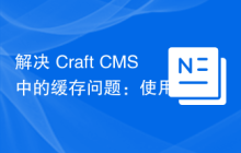 解决 Craft CMS 中的缓存问题：使用 wiejeben/craft-laravel-mix 插件