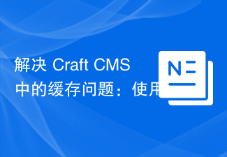 Résoudre les problèmes de mise en cache dans Craft CMS: Utilisation du plug-in Wiejeben / Craft-Laravel-MIX