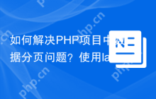 如何解决PHP项目中数据分页问题？使用laminas/laminas-paginator可以轻松搞定！