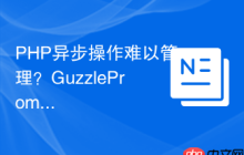PHP异步操作难以管理？GuzzlePromises助你优雅处理并发请求！
