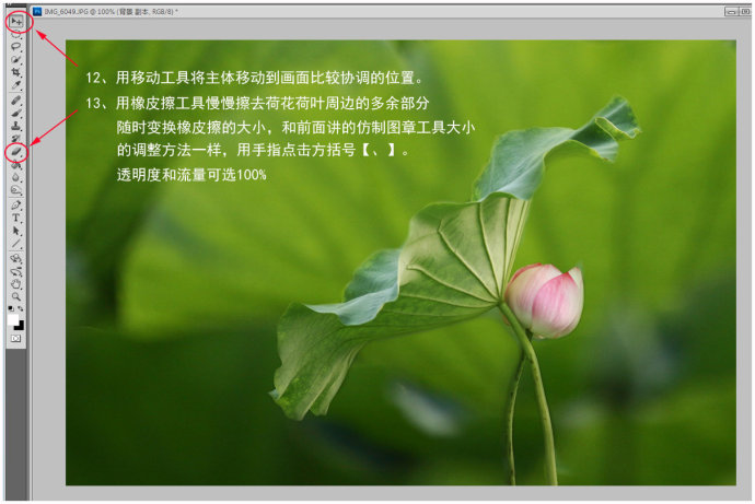PS制作虚化背景突出主体之荷花图片效果教程