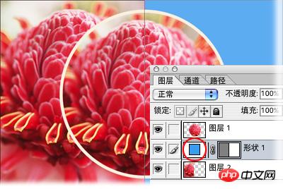 搜狐社区网友上传图片