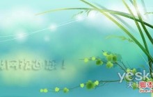 利用PS图层样式的不透明度来制作个性水印