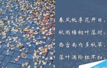 PS制作文字从画面底部逐渐上升并最终消失的滚动字幕