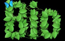 PS制作以生物绿叶和蝴蝶为题材的logo设计教程