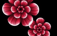 PS滤镜绘制出漂亮的花瓣