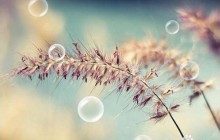 ps绘制漂亮透明的泡泡效果