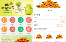 【手机商城前端模板】大气的5款手机商城前端模板推荐