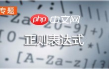 php正则表达式教程：正则表达式从入门到精通