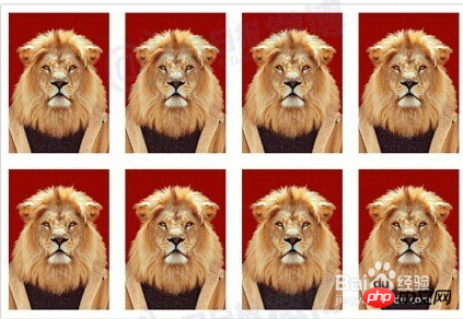 手把手教你用photoshop自制电子版一寸两寸标准照