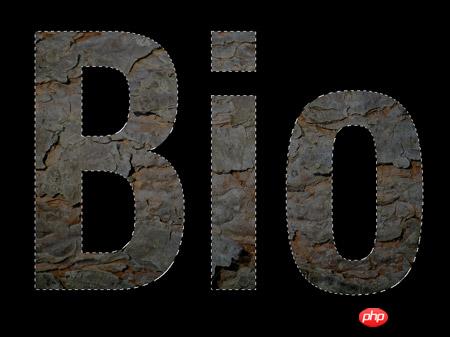 PS制作以生物绿叶和蝴蝶为题材的logo设计教程