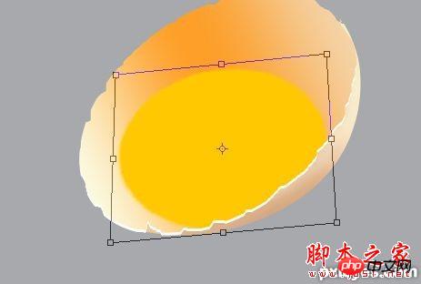 photoshop设计制作刚敲开的半边生鸡蛋