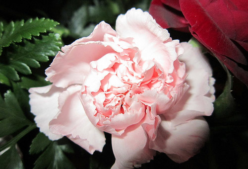 instantShift - Valentine’s Day Wallpaper 2014