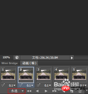 怎么使用Photoshop制作漂亮的Gif动画图片
