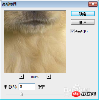 ps如何让背景模糊?ps照片背景虚化教程